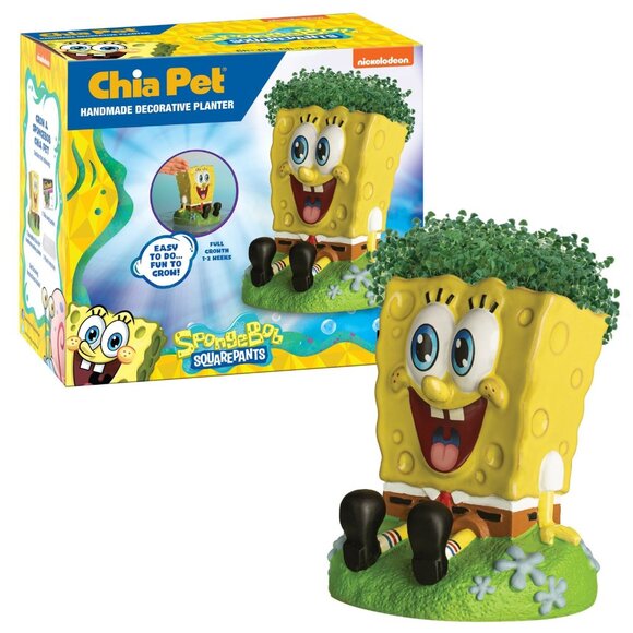 Chia Pet Sponge Bob - Handmade Funny Decorative Terracotta Planter Yellow NEW - Picture 4 of 12